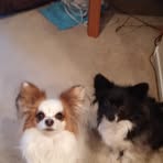 Cindy Frederickson - Facebook