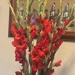 Cindy Friedman - Facebook