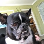 Cindy Gallo - @aidansarantos - Instagram