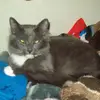 cindygamble537 - @cindygamble537 - TikTok