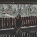 Cindy Garces Palgan - Facebook