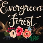 Cindy Gaskill - @evergreen_forest - Instagram