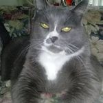Cindy Gerber - @gerber_cindy - Instagram