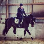 Cindy Gilbert - @spoiledhorse - Instagram