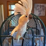 Cindy Glenn - @cindyglenn232 - Instagram