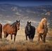 Cindy Gobel - Facebook