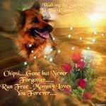Cindy Gosnell Roddy - @cindyroddy - Instagram