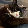cindygrabowski5 - @cindygrabowski5 - TikTok