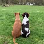 Cindy Fletcher Graver - @cindyfletchergraver - Instagram
