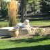 Cindy Greiner - Facebook
