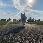 Cindy Greiner-Stürmer - @cindygreinerstuermer - Instagram