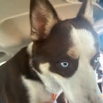 Cindy Grout - Facebook