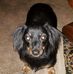 Cindy Guffey - Facebook