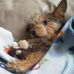 Cindy Guffey - Facebook