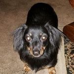 Cindy Guffey - @guffeycindy - Instagram
