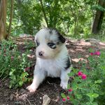 Cindy Scott Gunn - @cindyscottgunn - Instagram