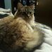 Cindy Hagerman - Facebook
