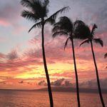 Cindy Hagerman - @cindy.hagerman - Instagram