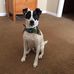 Cynthia Hagerman - Facebook