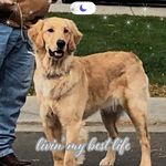 Cindy Haley - @cidhaley58 - Instagram
