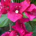 Cindy Hamby - Facebook