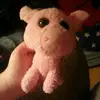 cindyharbison2 - @cindyharbison2 - TikTok