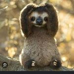 Cindy Hare Kolbe - @harekolbe - Instagram