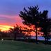 Cindy Harr - Facebook