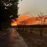 Cindy Harrell - @cindy.harrell.79 - Instagram