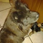 Cindy Harrington - @cindy.harrington.986 - Instagram