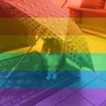 Cindy Harrington - @cindyaharrington - Instagram