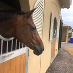 Cindy Harrington - @cindy.harrington.56 - Instagram