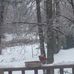 Cindy Lucks Dog Haven - Facebook