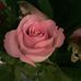 Cindy Haynes - Facebook