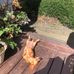 Cindy Heath - Facebook