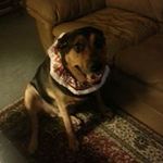Cindy Heintz - @heintzcindy - Instagram