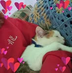 Cindy Hilbig - Facebook