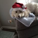 Cindy Henning - @the_favoriteparent - Instagram