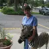 Cindy Wetherald - @cindy.wetherald - TikTok