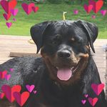 Cindy Hersom Vickers - @cindyv1972 - Instagram