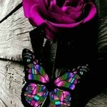 Cindy Hickman - @cindy.hickman.10004 - Instagram