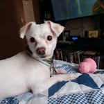 Cindy Hinkle - @hinkle344 - Instagram