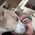 Cindy Hinkle - Facebook