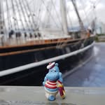 Cindy the Hippo - @cindythehippo - Instagram