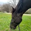 Cindy Hickman606 - @cindyhickman606 - TikTok