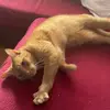 Cindy Echterhoff - @cindy.echterhoff - TikTok