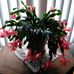 Cindy Hoff - Facebook