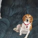 Cindy Hoffie - @hoffiecindy - Instagram