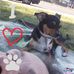 Cynthia Hoff - Facebook