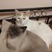 Cynthia Hoffart - Facebook